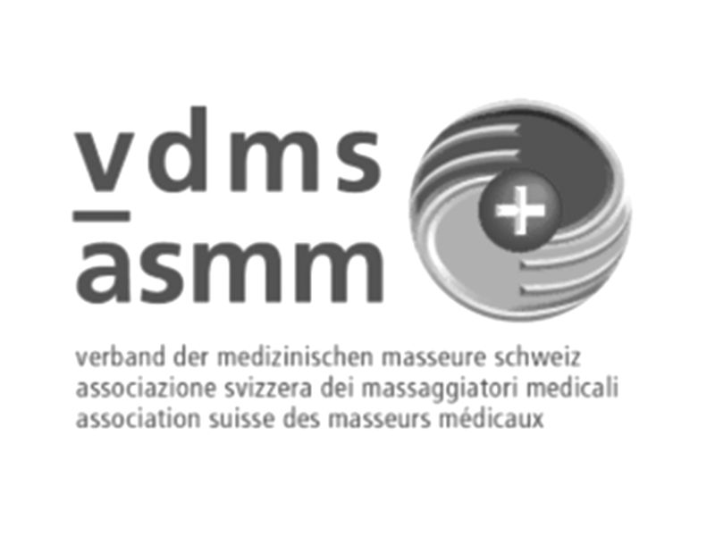 Verband der medizinischen Masseure Schweiz Logo